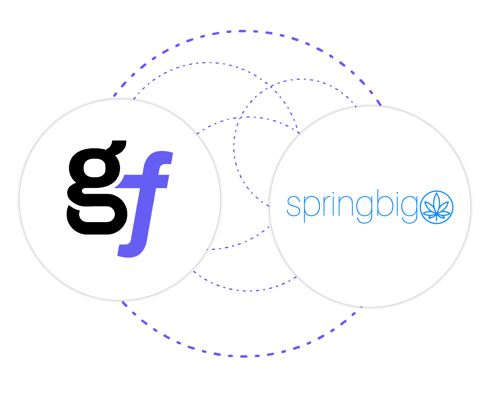 GrowFlow-Integrations-springbig